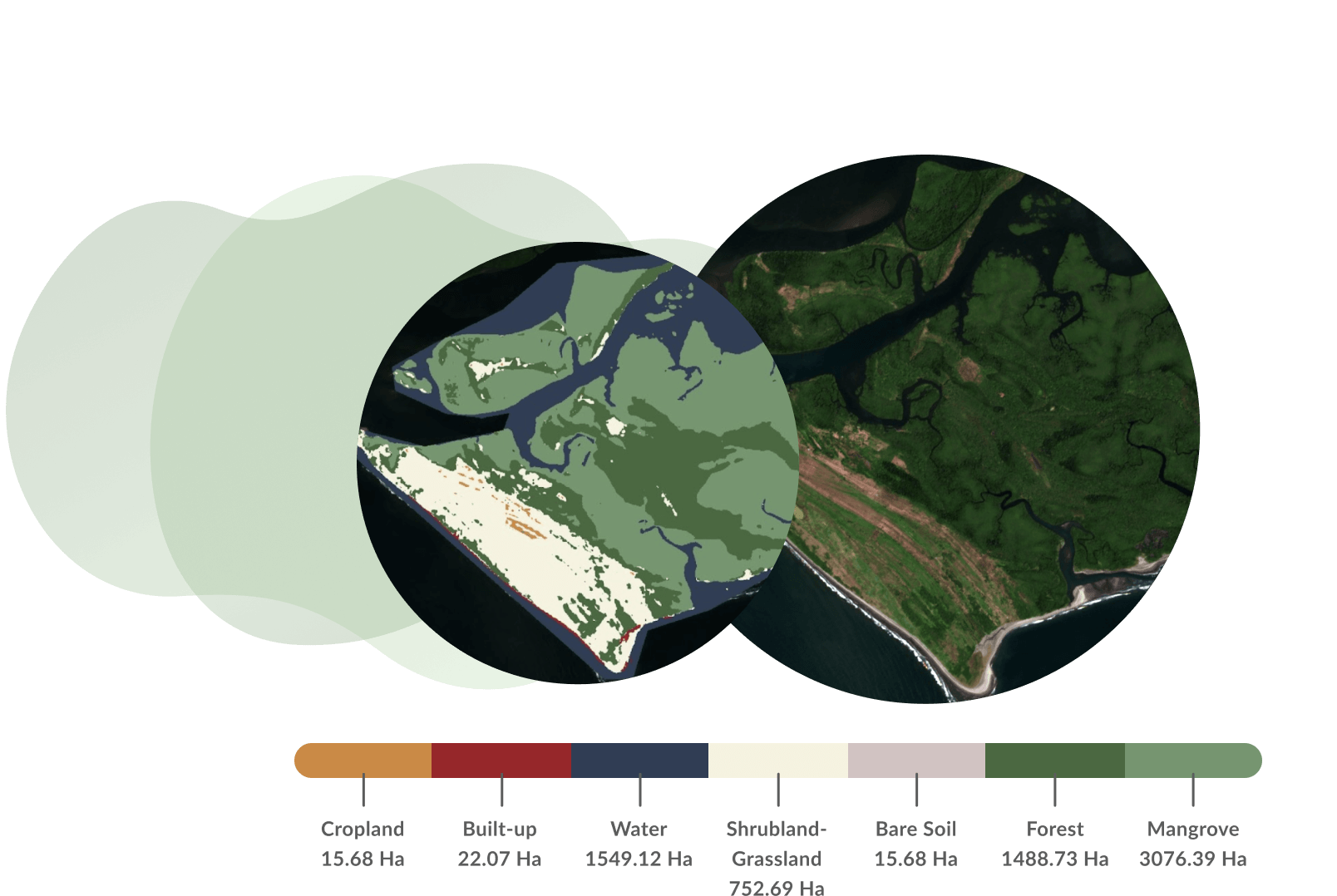 Land cover illustration